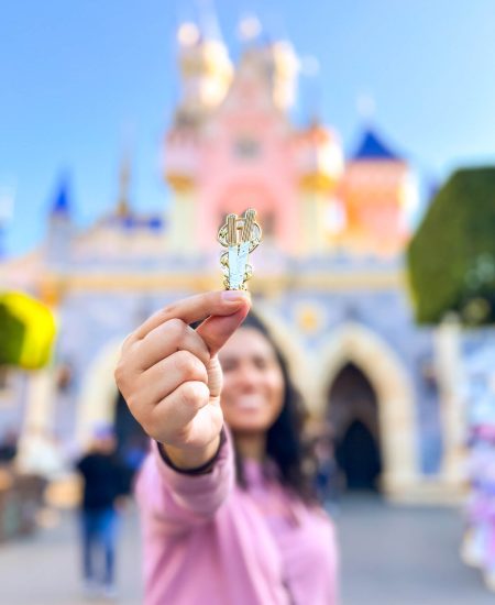 Disney-inspired churro enamel pin